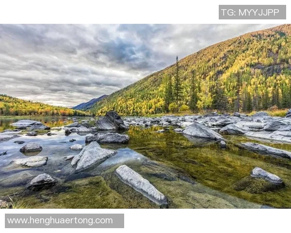 探索阿拉巴的魅力与文化遗产,揭示这片土地的独特风情与历史故事 探索阿拉巴的魅力与文化遗产,揭示这片土地的独特风情与历史故事