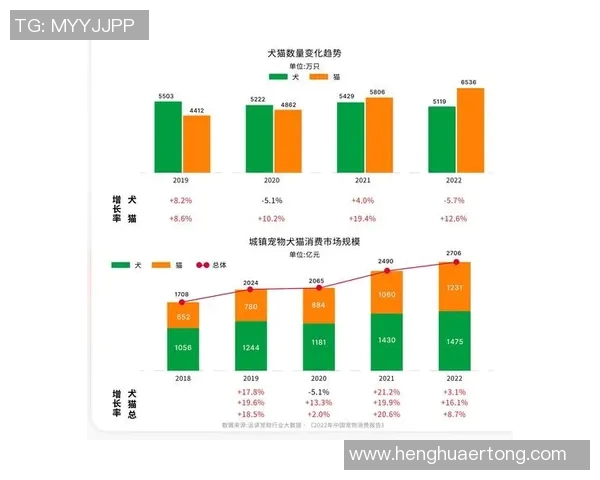 卡里斯勒韦尔在NBA赛季中的表现分析与未来发展潜力探讨