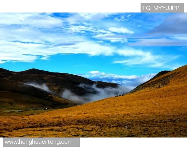 何思雨的心灵旅程：在风雨中寻找自我与希望的故事